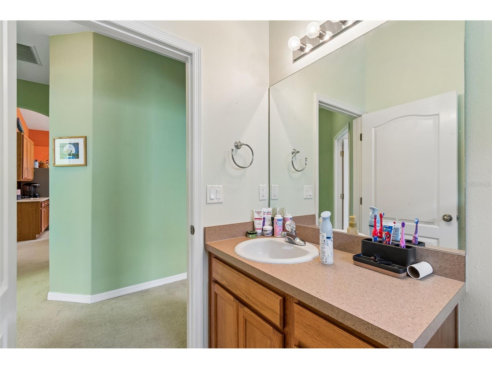 4017 Langdrum Drive Wesley Chapel FL 33543 TB8503786 image18