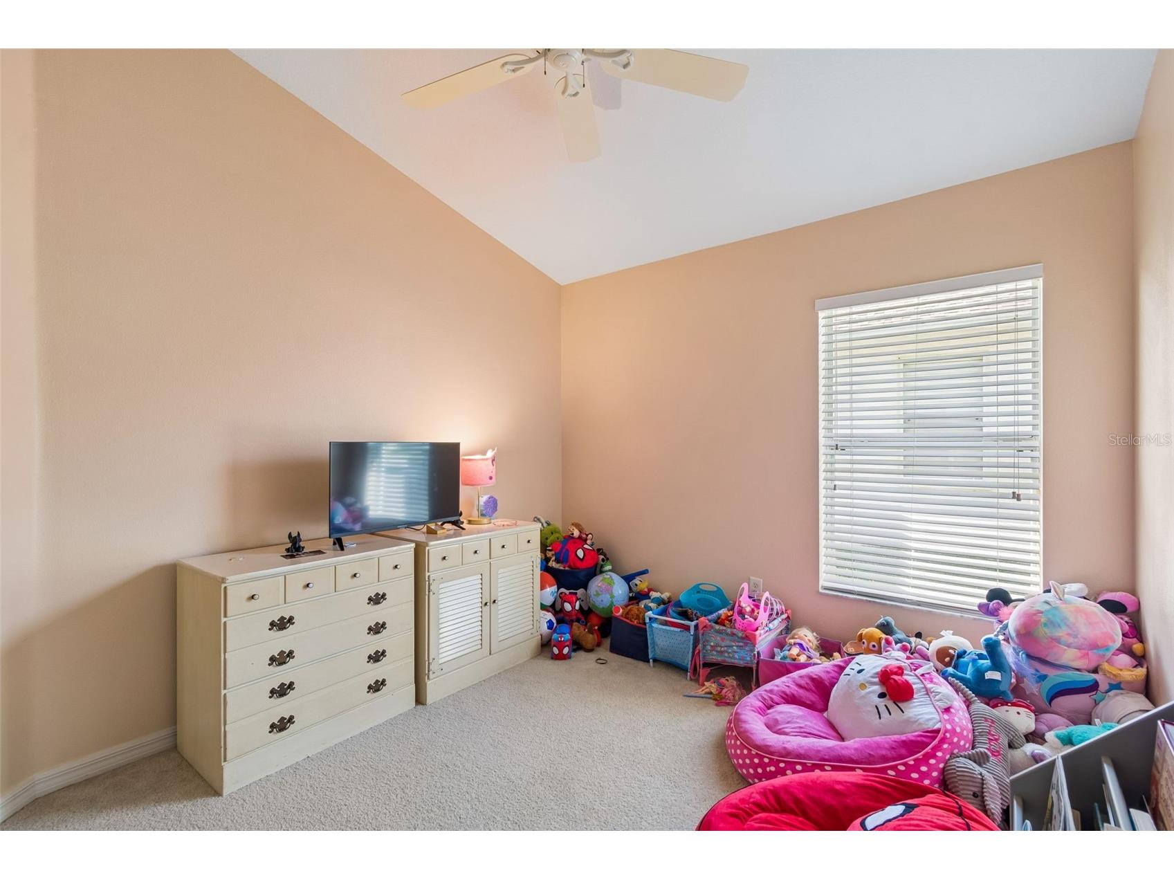4017 Langdrum Drive Wesley Chapel FL 33543 TB8503786 image19