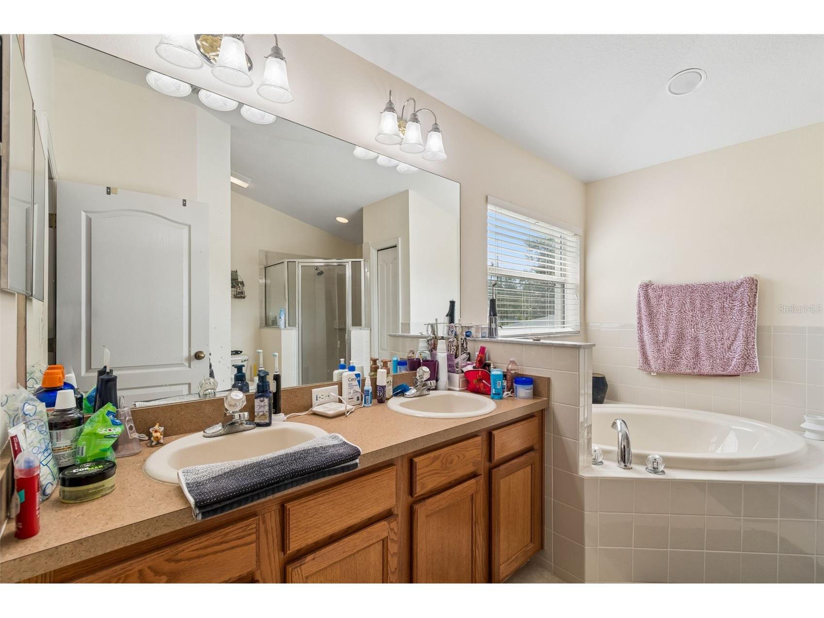 4017 Langdrum Drive Wesley Chapel FL 33543 TB8503786 image22