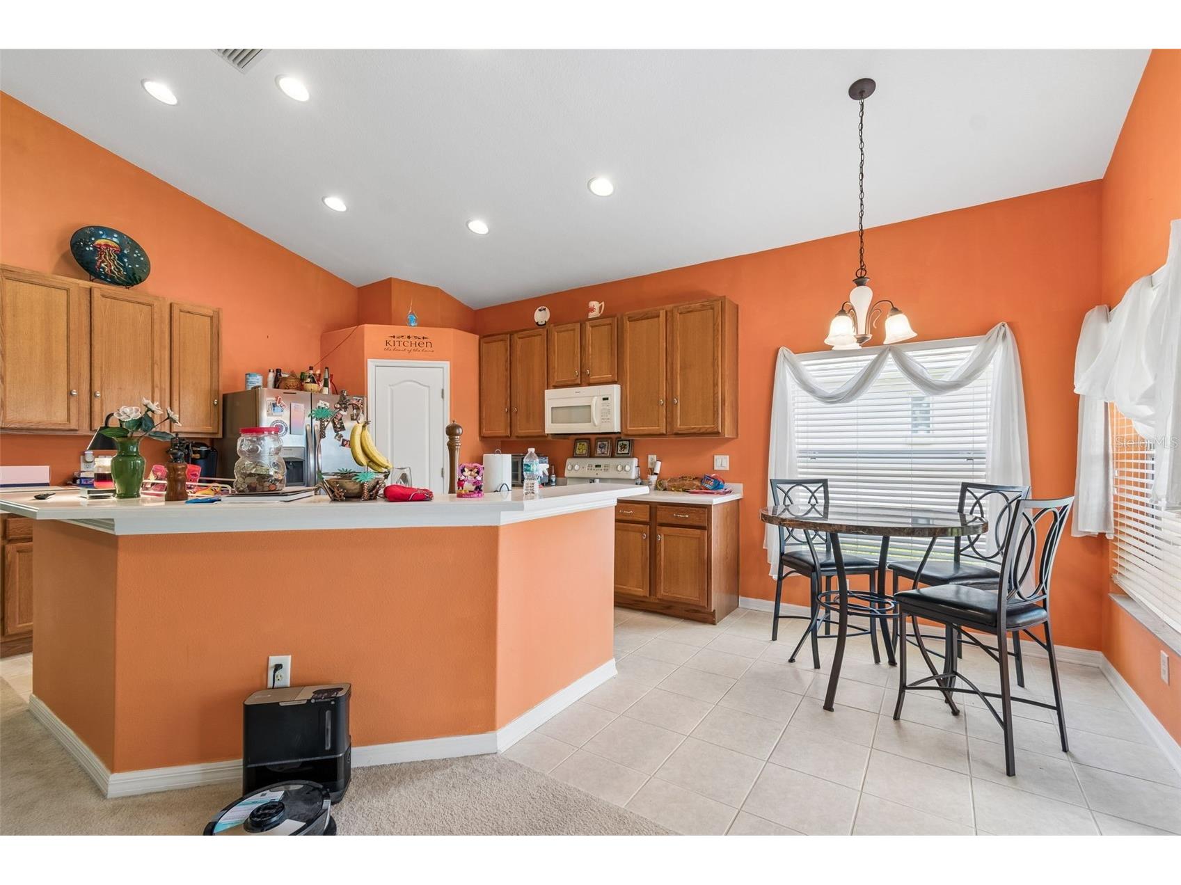 4017 Langdrum Drive Wesley Chapel FL 33543 TB8503786 image9