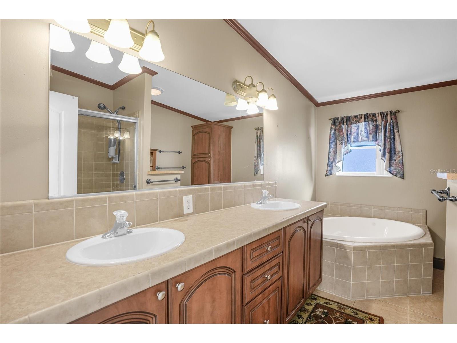 4017 Myrtle Oak Court #841 Zellwood FL 32798 O6354734 image10