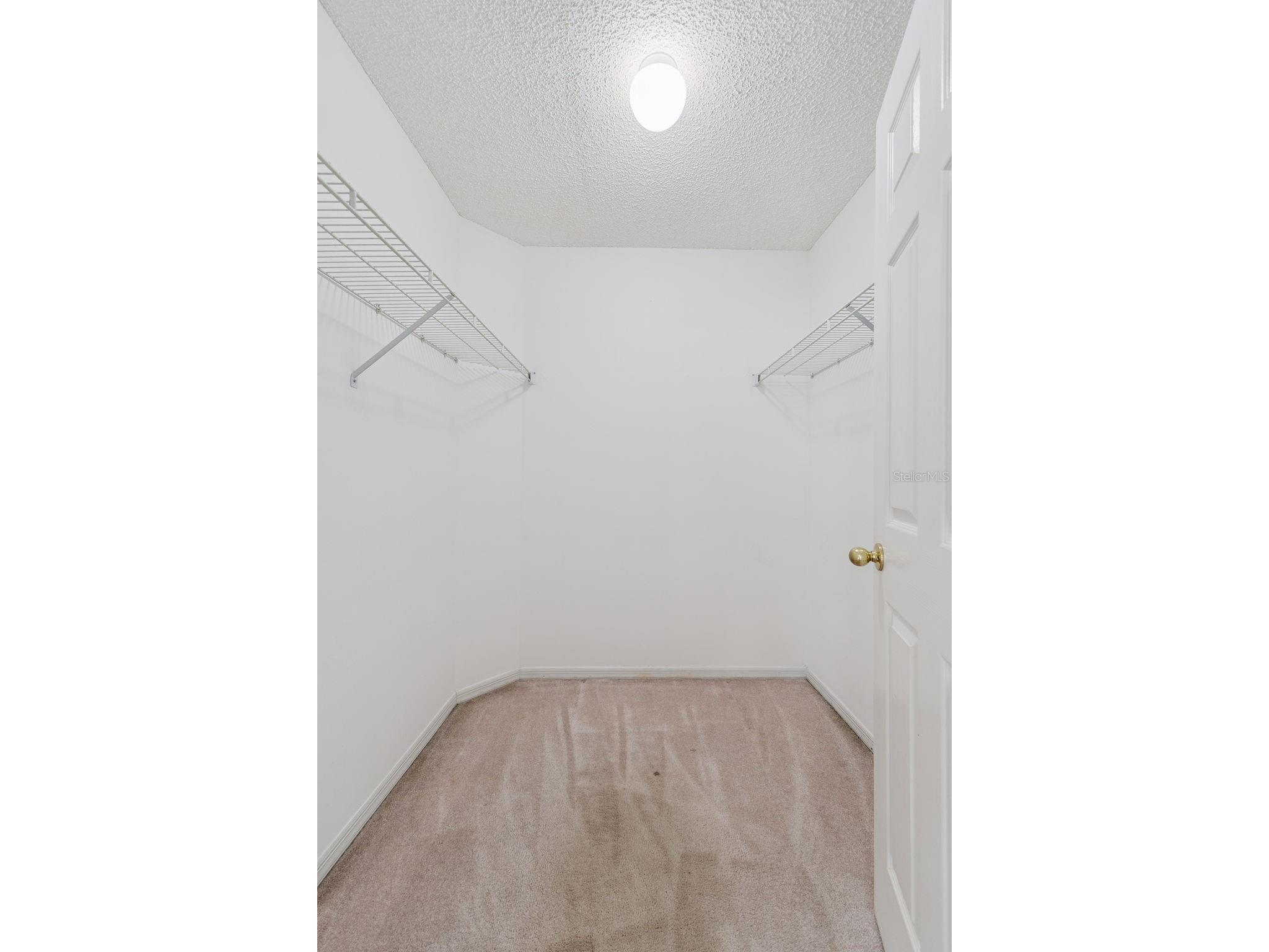 4017 Quail Briar Drive Valrico FL 33596 TB8513948 image27