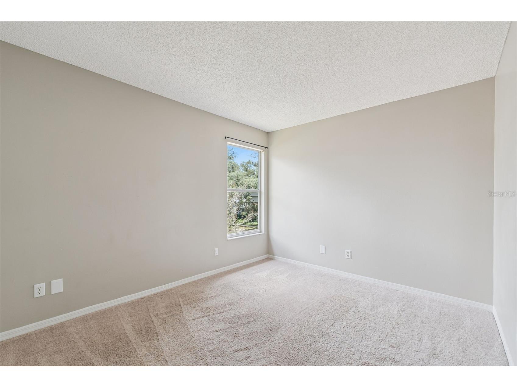 4017 Quail Briar Drive Valrico FL 33596 TB8513948 image30