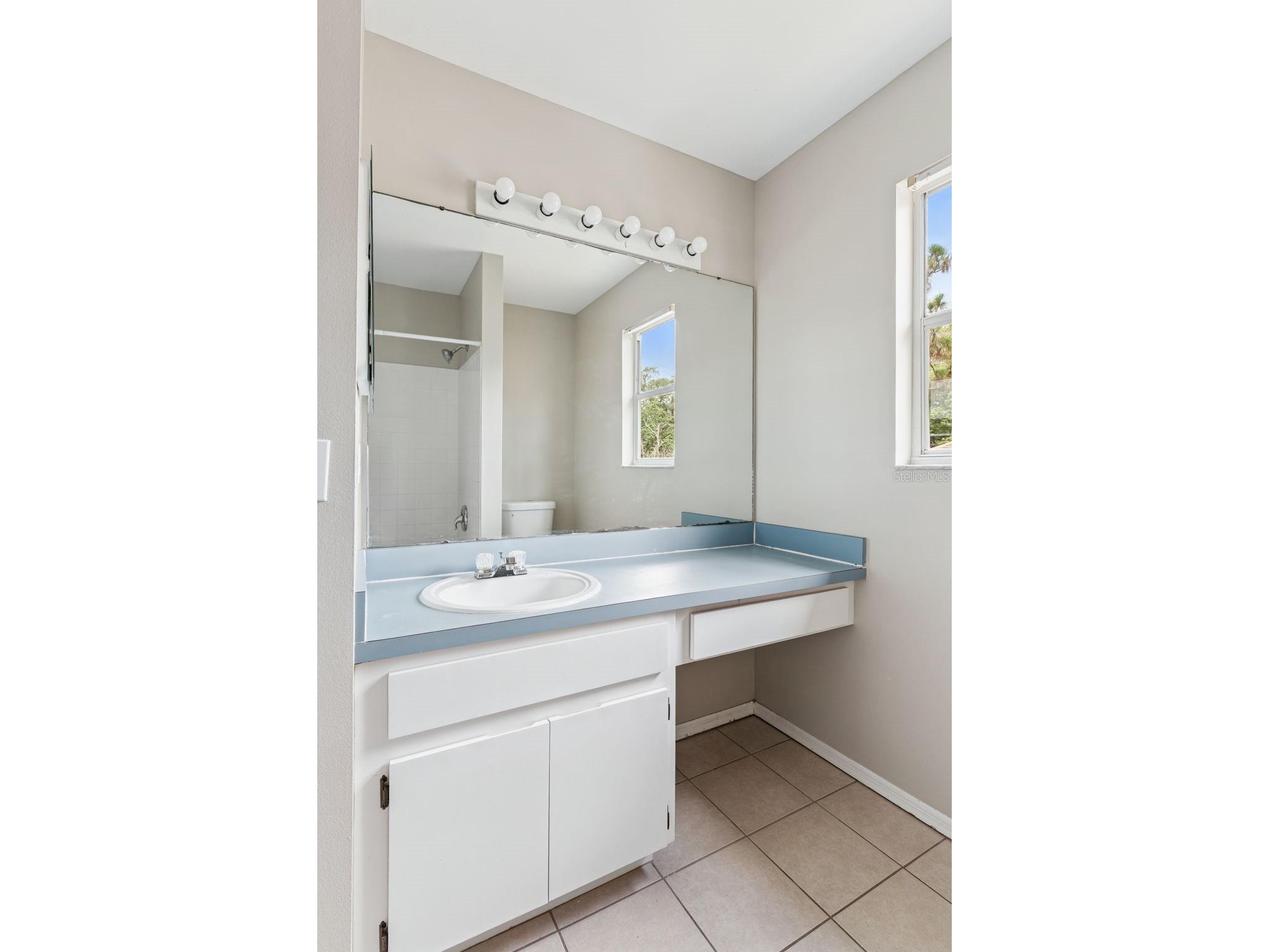 4017 Quail Briar Drive Valrico FL 33596 TB8513948 image32