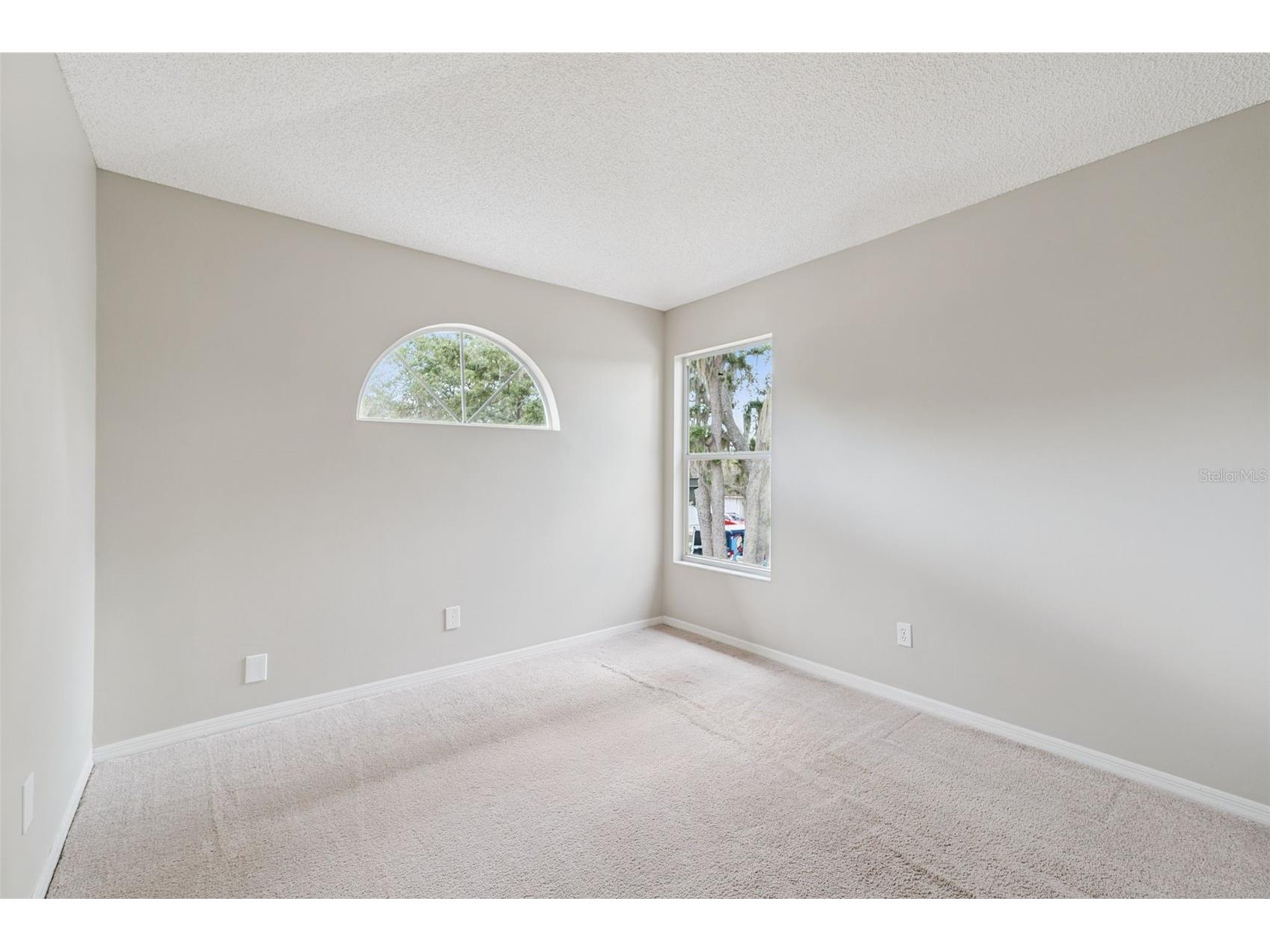 4017 Quail Briar Drive Valrico FL 33596 TB8513948 image34