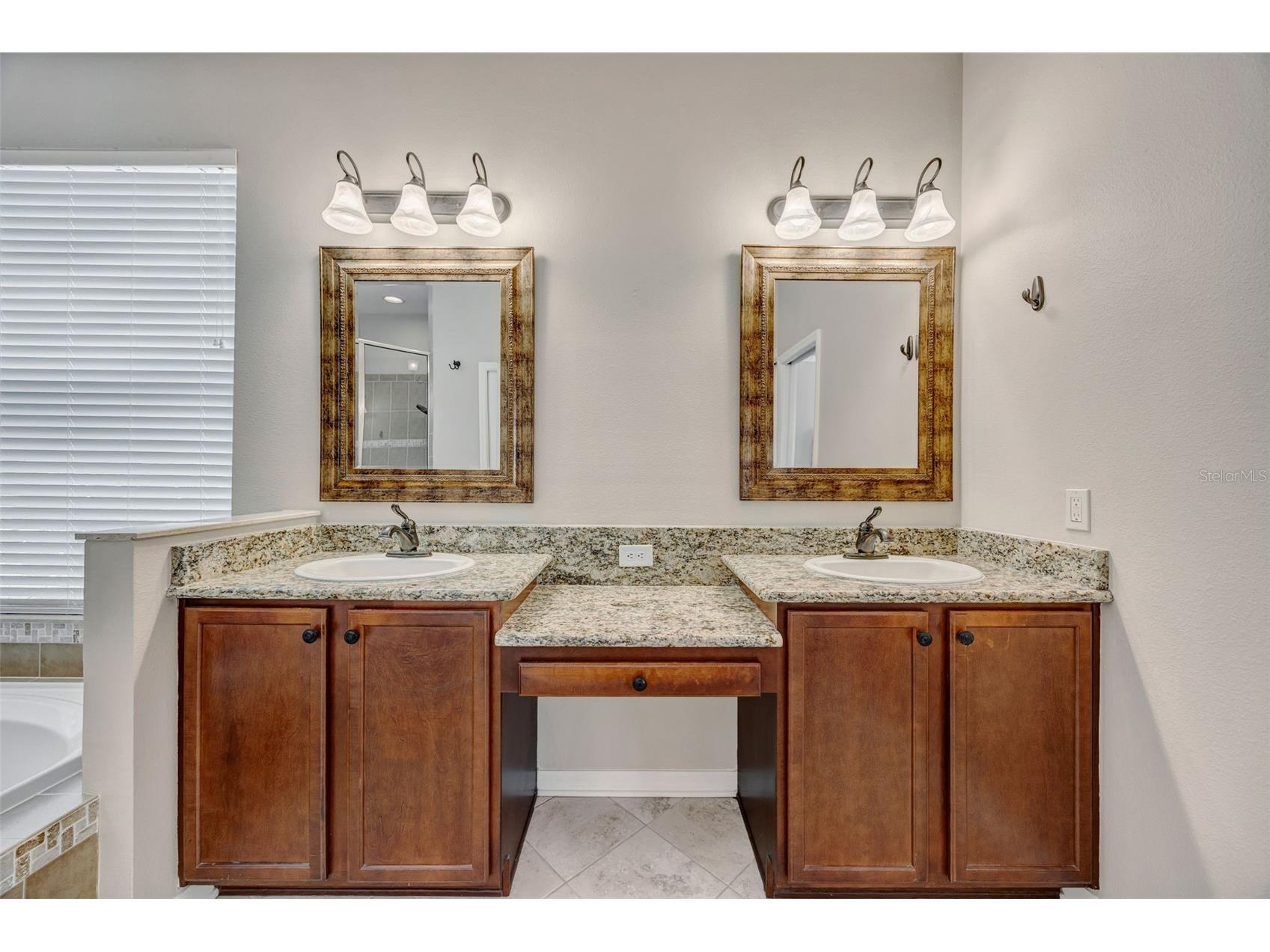 4017 Waterville Avenue Wesley Chapel FL 33543 TB8497914 image22