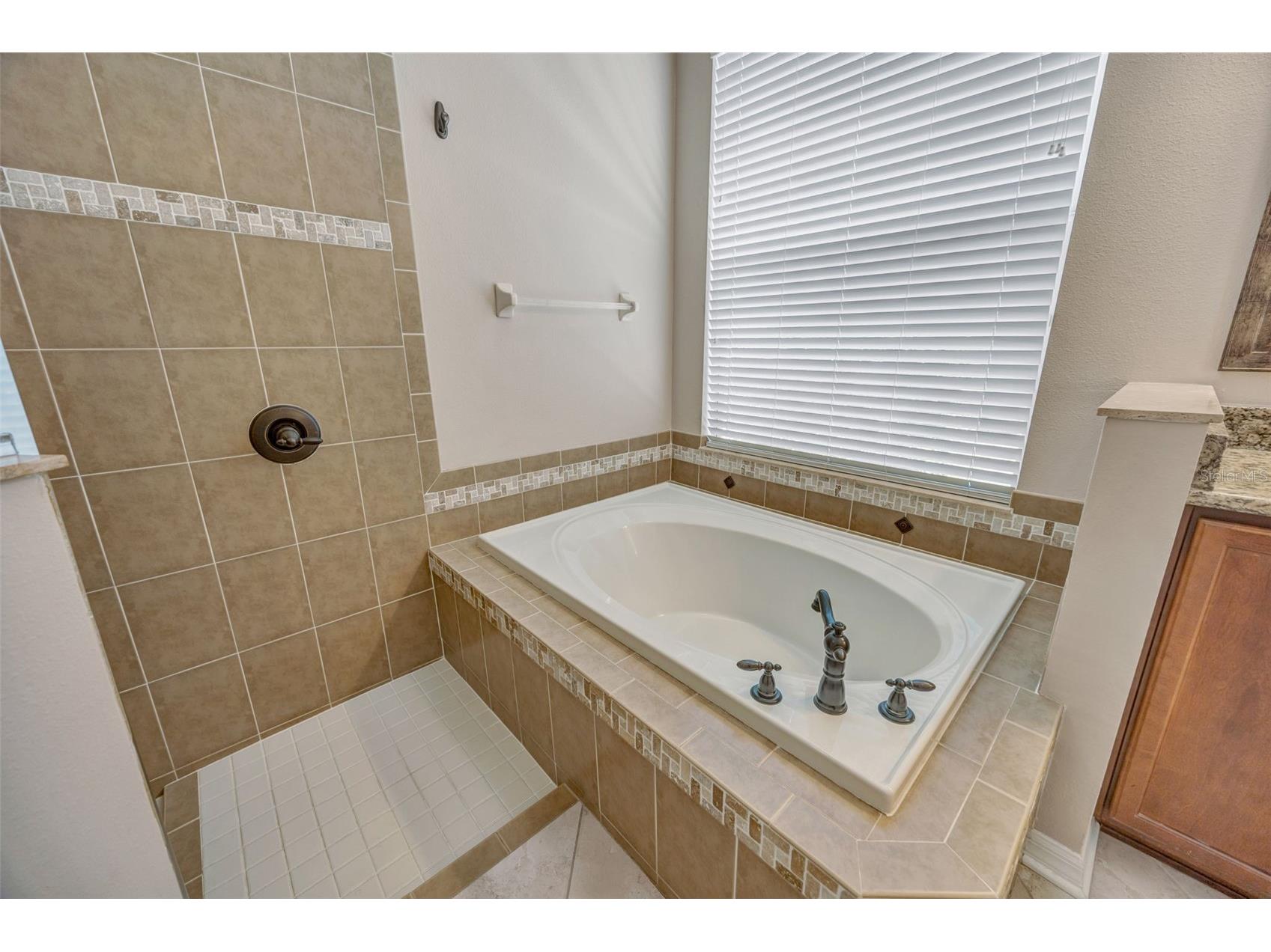 4017 Waterville Avenue Wesley Chapel FL 33543 TB8497914 image24
