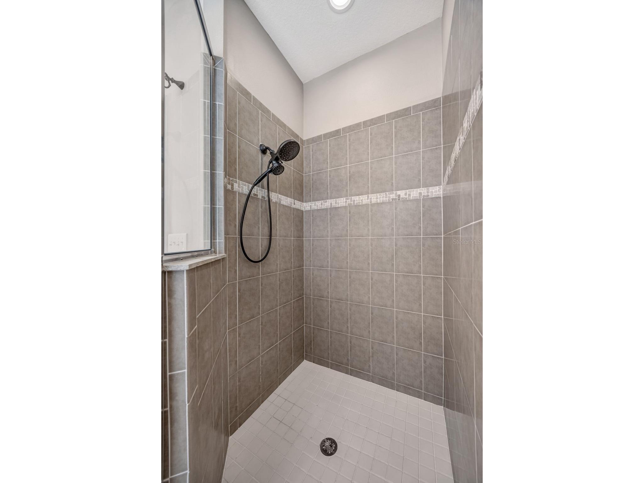 4017 Waterville Avenue Wesley Chapel FL 33543 TB8497914 image27