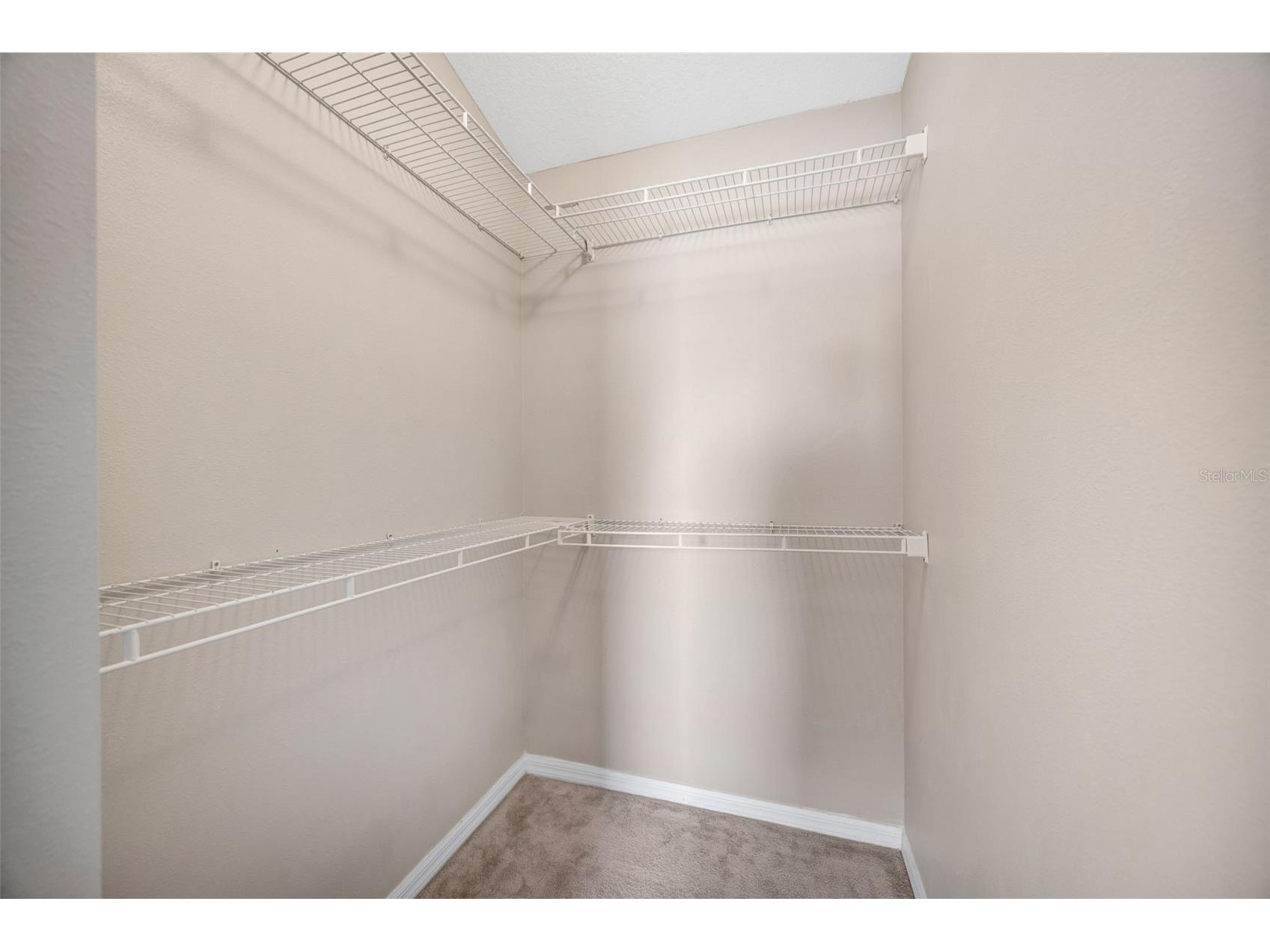 4017 Waterville Avenue Wesley Chapel FL 33543 TB8497914 image39