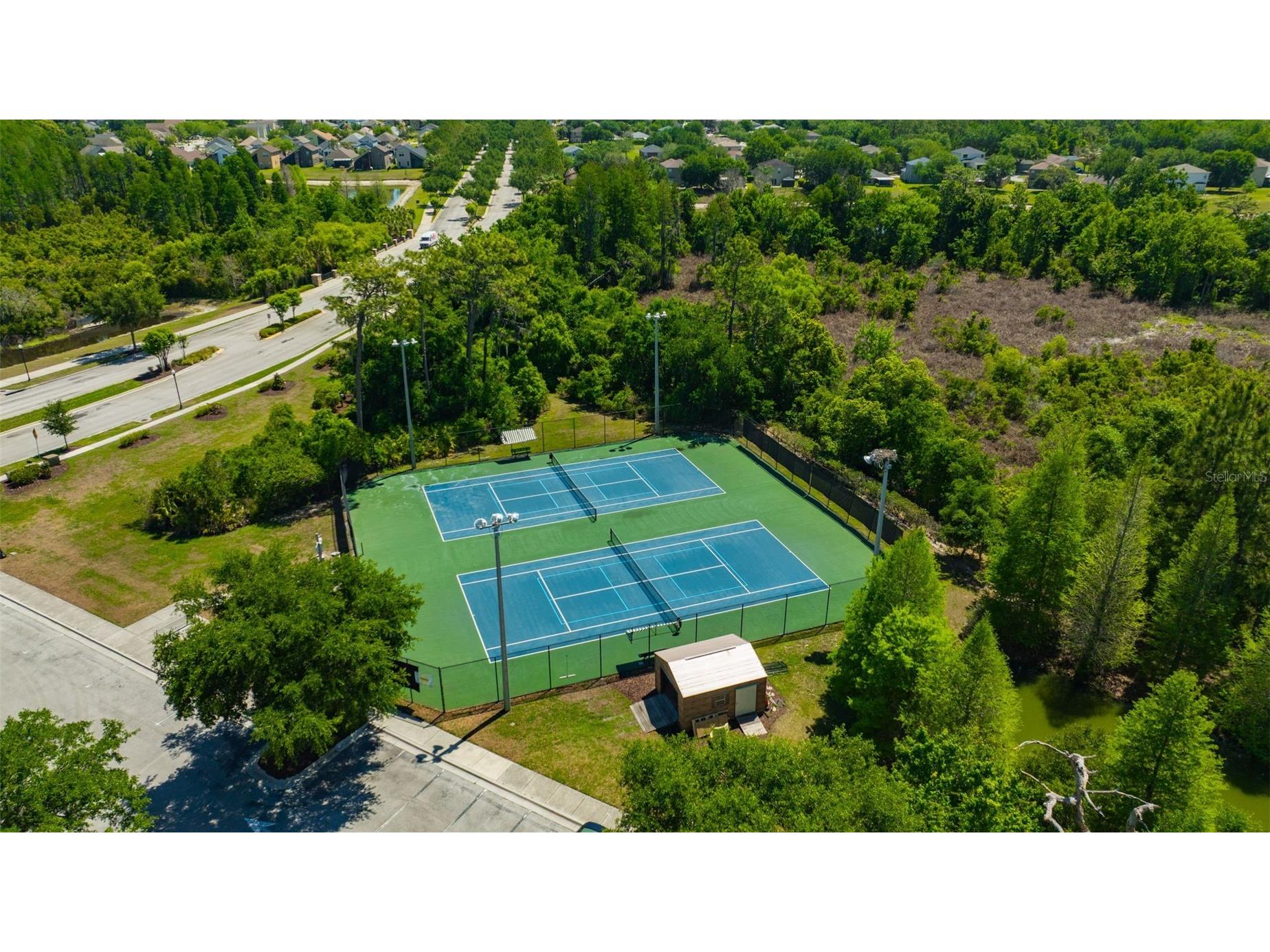 4017 Waterville Avenue Wesley Chapel FL 33543 TB8497914 image63
