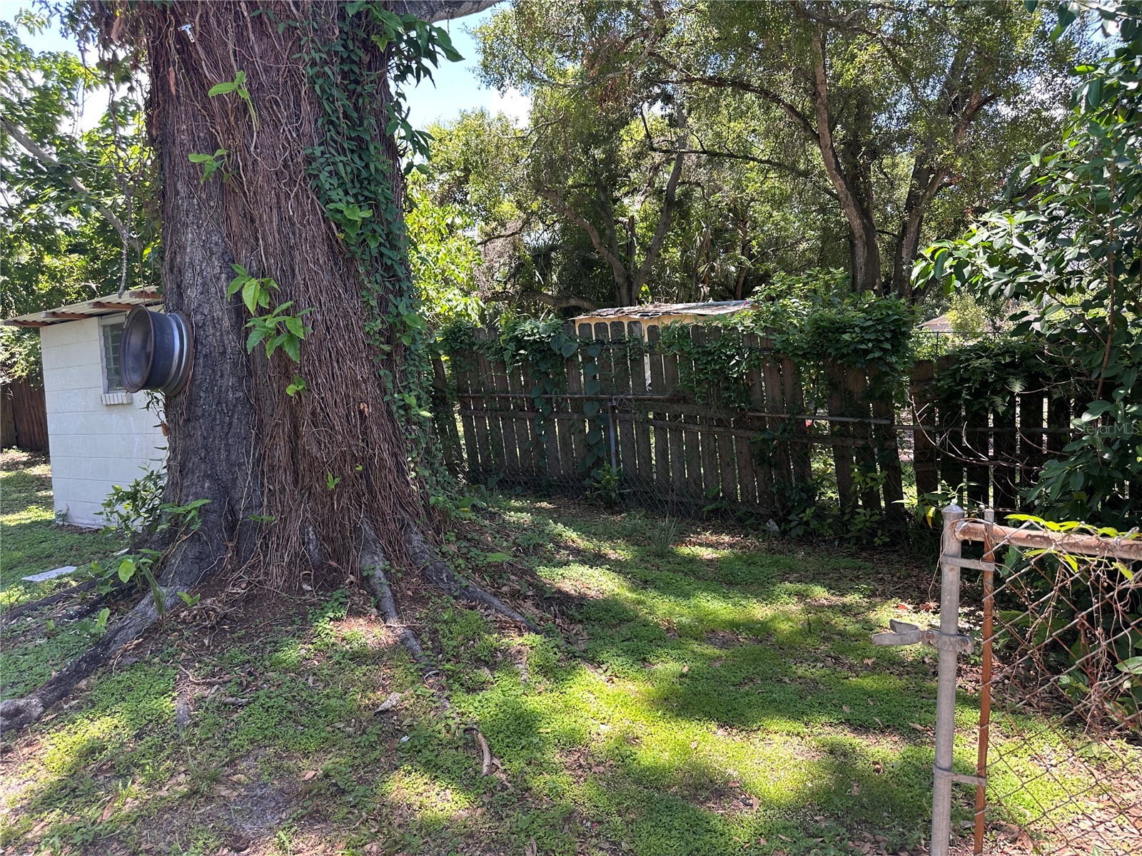 4017 Watson Road Tampa FL 33610 TB8520772 image30
