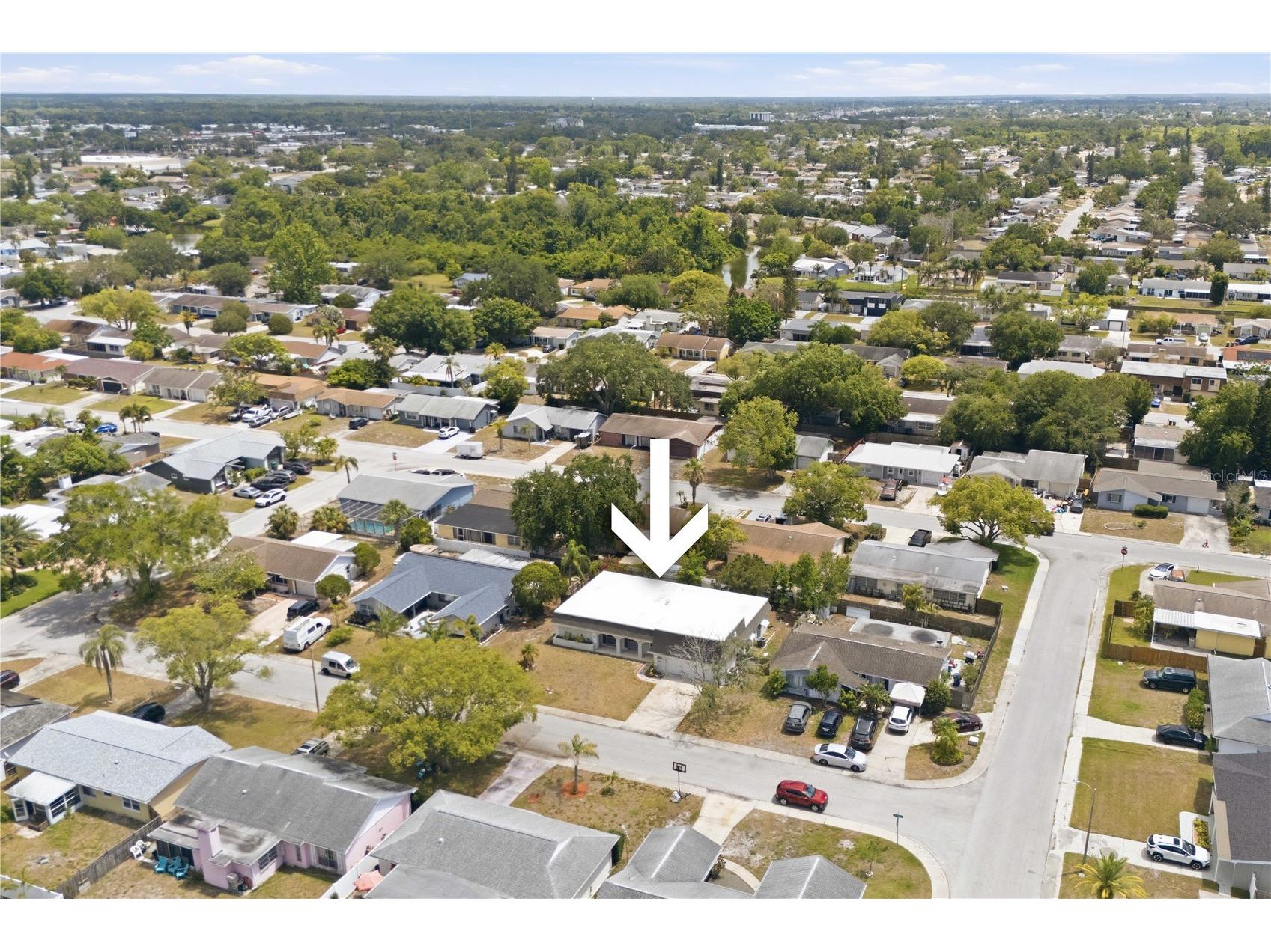 4018 Cashmere Drive New Port Richey FL 34652 TB8501993 image35