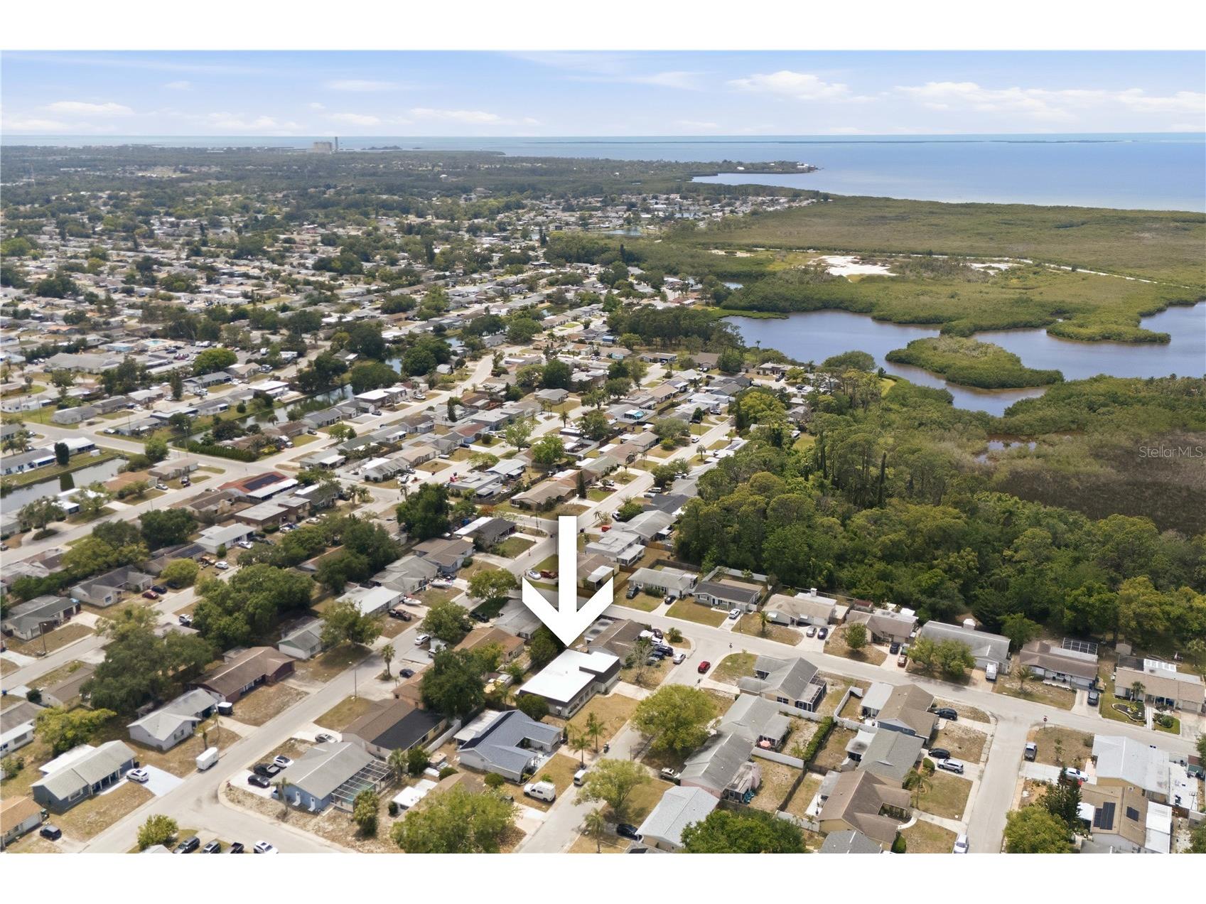 4018 Cashmere Drive New Port Richey FL 34652 TB8501993 image36