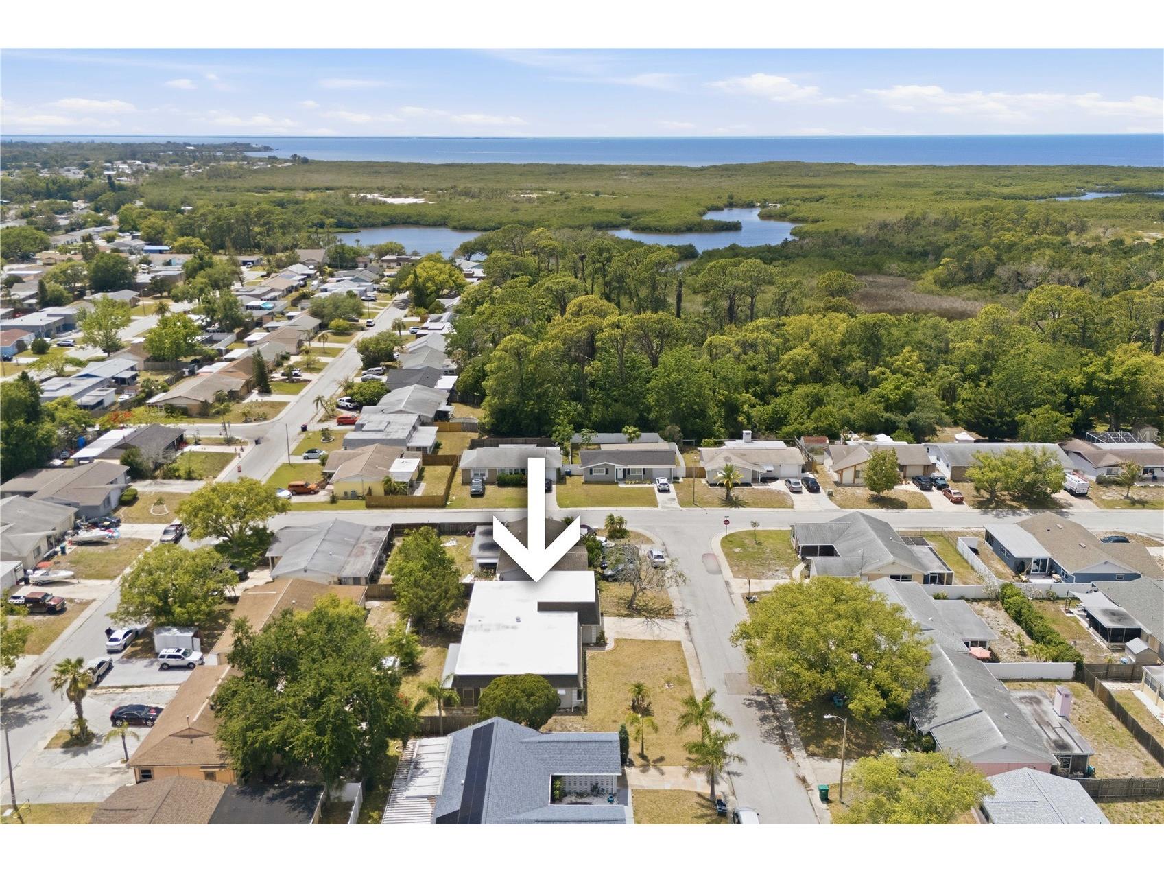 4018 Cashmere Drive New Port Richey FL 34652 TB8501993 image37