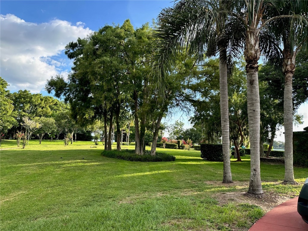 4019 Dijon Drive #4019K Orlando FL 32808 S5136565 image12