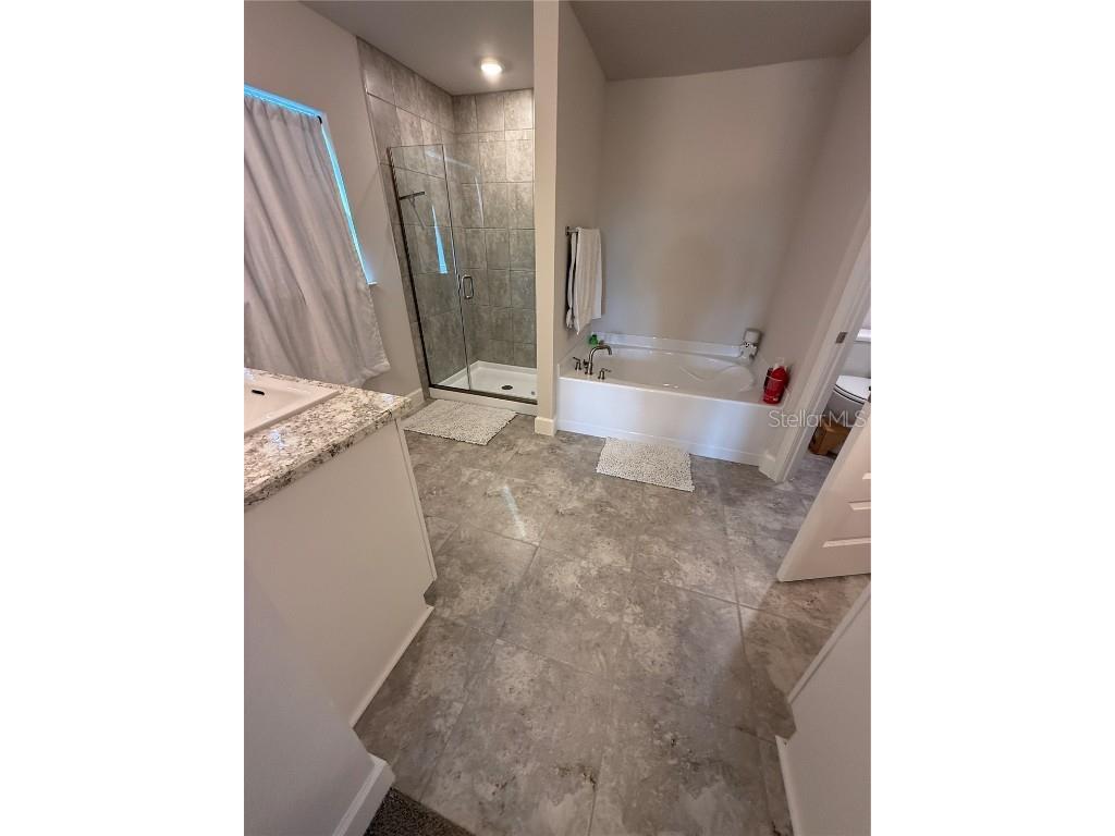 4019 Tullamore Lane Auburndale FL 33823 L4955321 image17