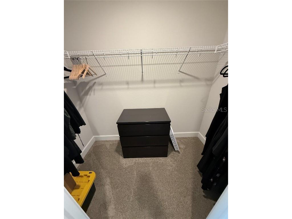 4019 Tullamore Lane Auburndale FL 33823 L4955321 image18