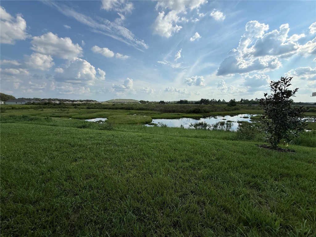 4019 Tullamore Lane Auburndale FL 33823 L4955321 image37