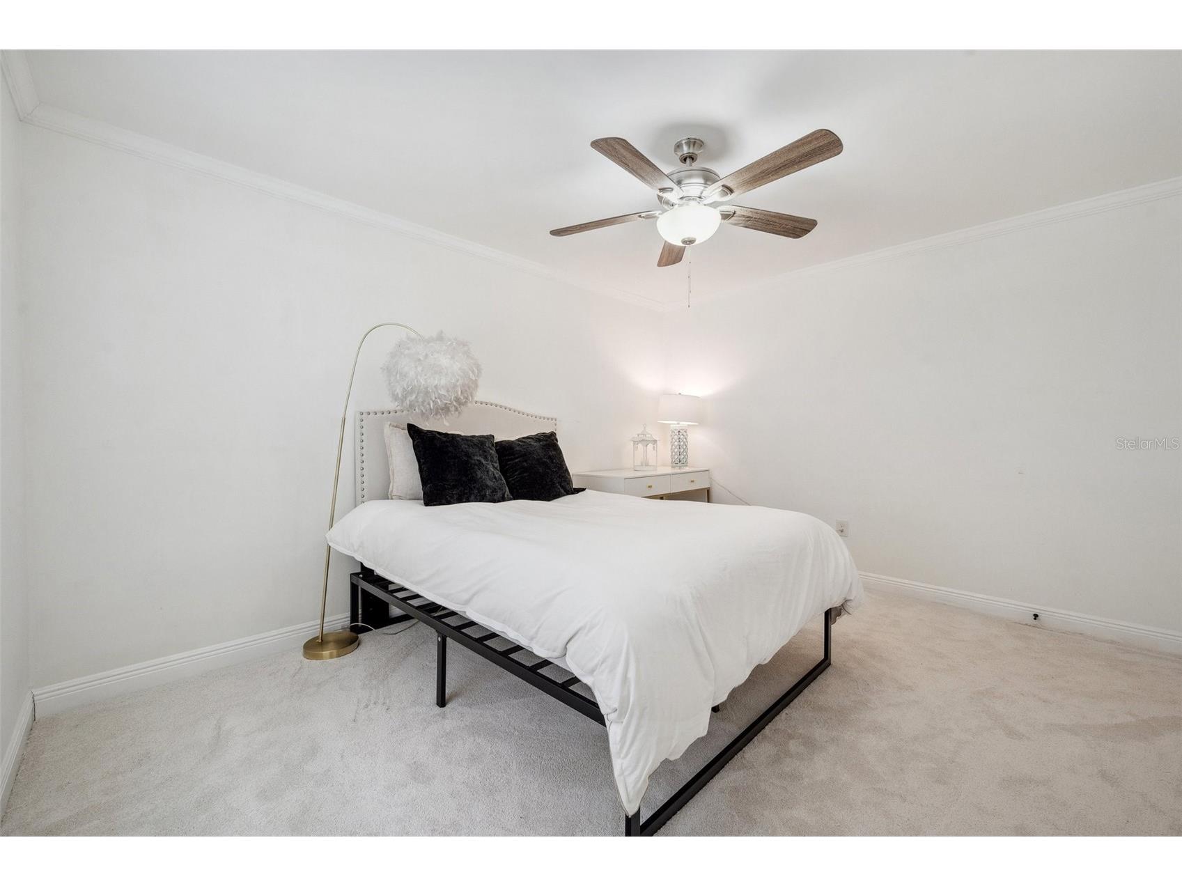 4019 W Bay To Bay Boulevard Tampa FL 33629 TB8498366 image10