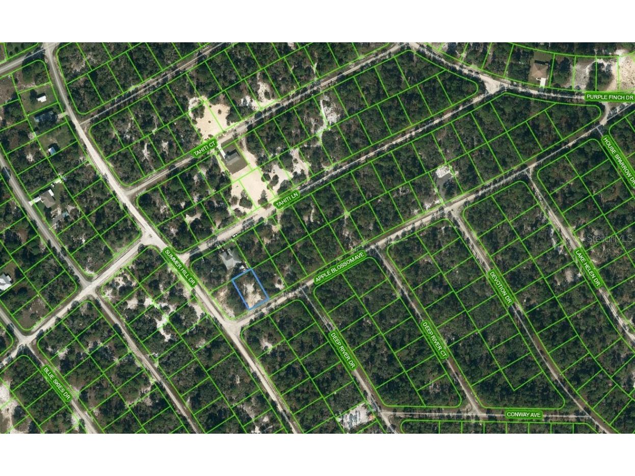 402 Apple Blossom Court Lake Placid FL 33852 OM624338 image1