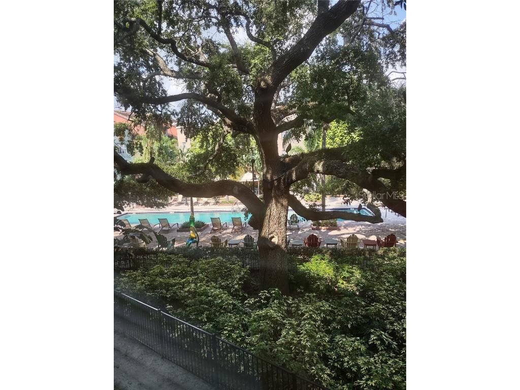 402 Armenia Avenue #128 Tampa FL 33609 TB8431770 image24