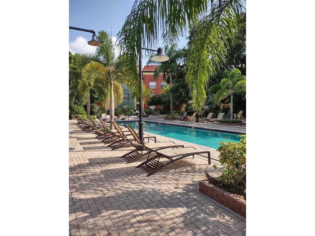 402 Armenia Avenue #128 Tampa FL 33609 TB8431770 image36