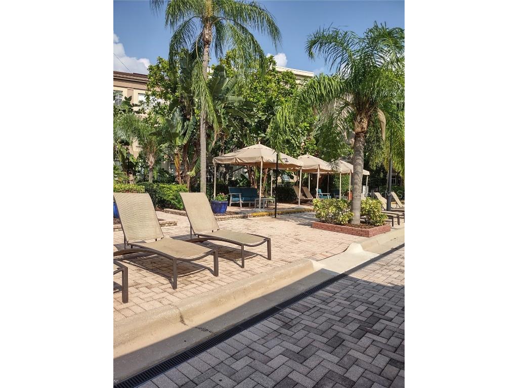 402 Armenia Avenue #128 Tampa FL 33609 TB8431770 image40