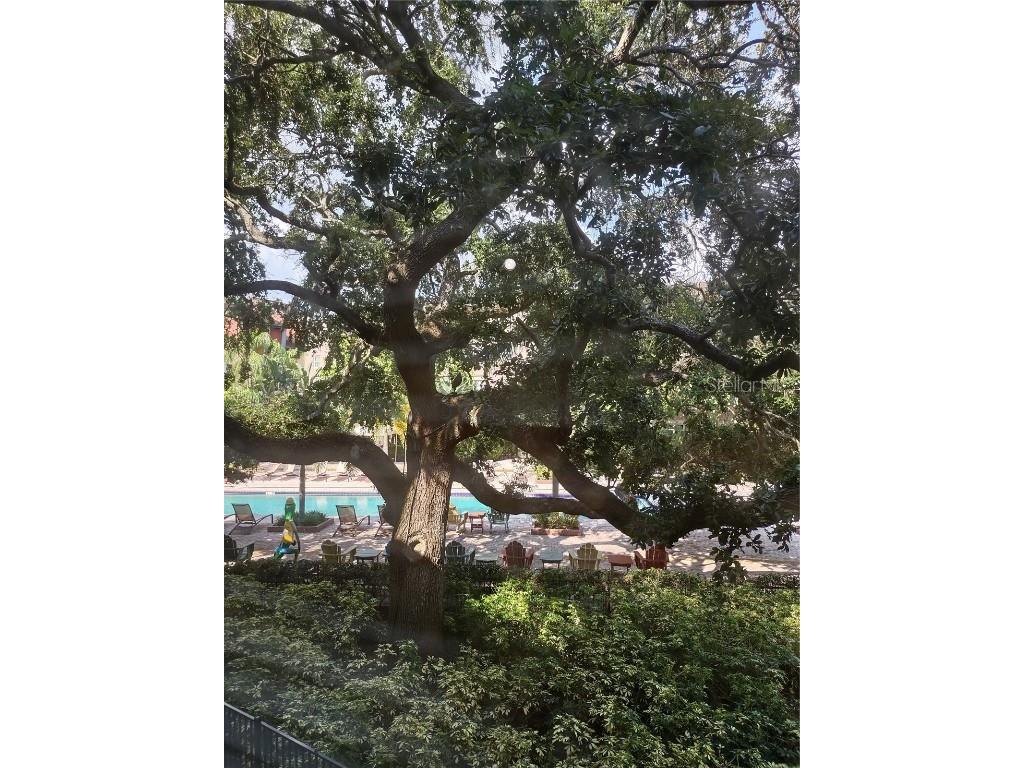 402 Armenia Avenue #128 Tampa FL 33609 TB8431770 image41