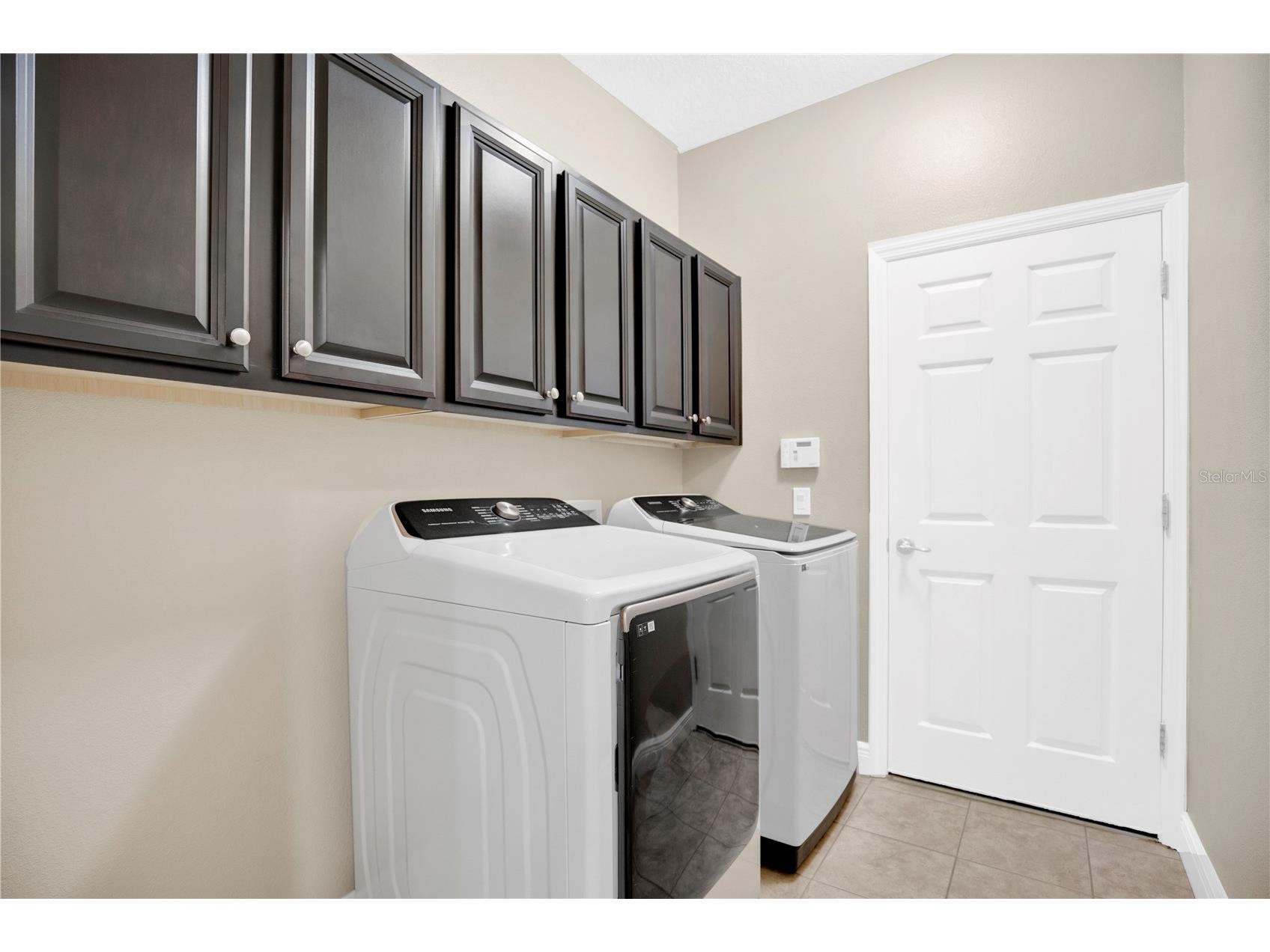 402 Egret Place Drive Winter Garden FL 34787 O6402689 image29
