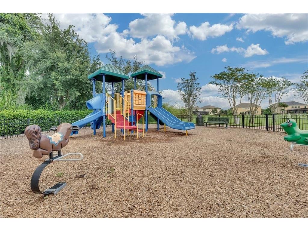 402 Egret Place Drive Winter Garden FL 34787 O6402689 image52