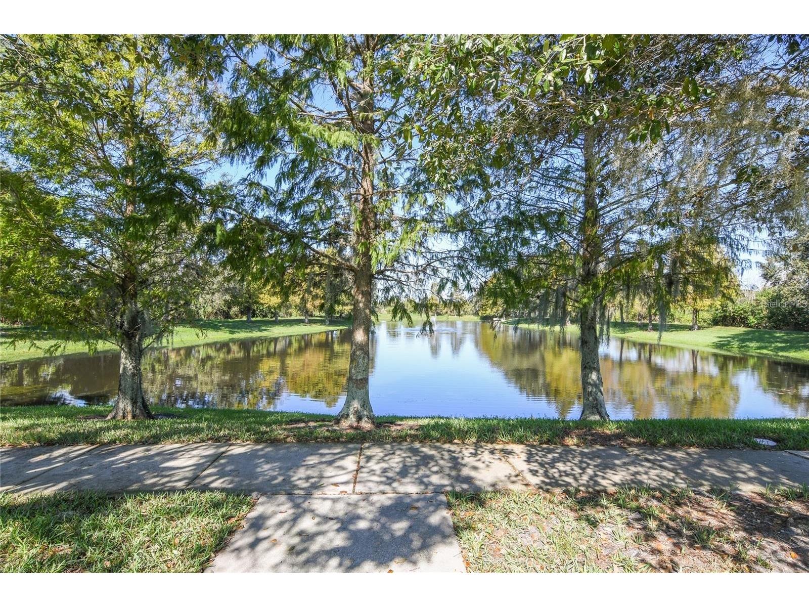 402 Egret Place Drive Winter Garden FL 34787 O6402689 image53