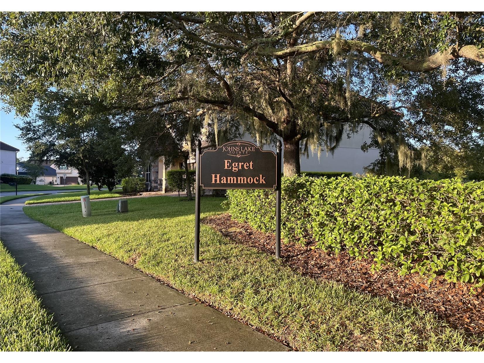 402 Egret Place Drive Winter Garden FL 34787 O6402689 image54
