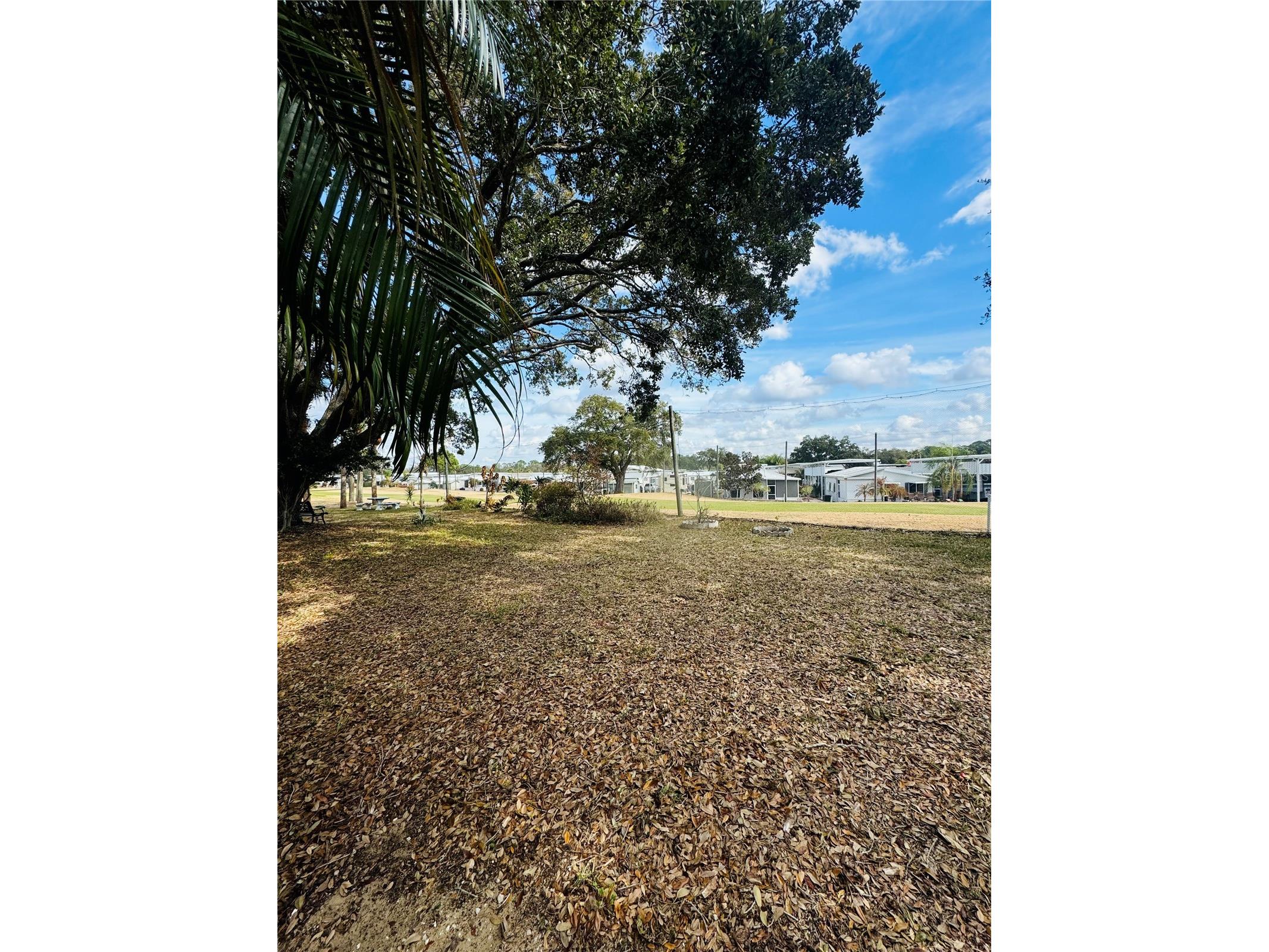 402 Golfview Drive Davenport FL 33837 O6382811 image11