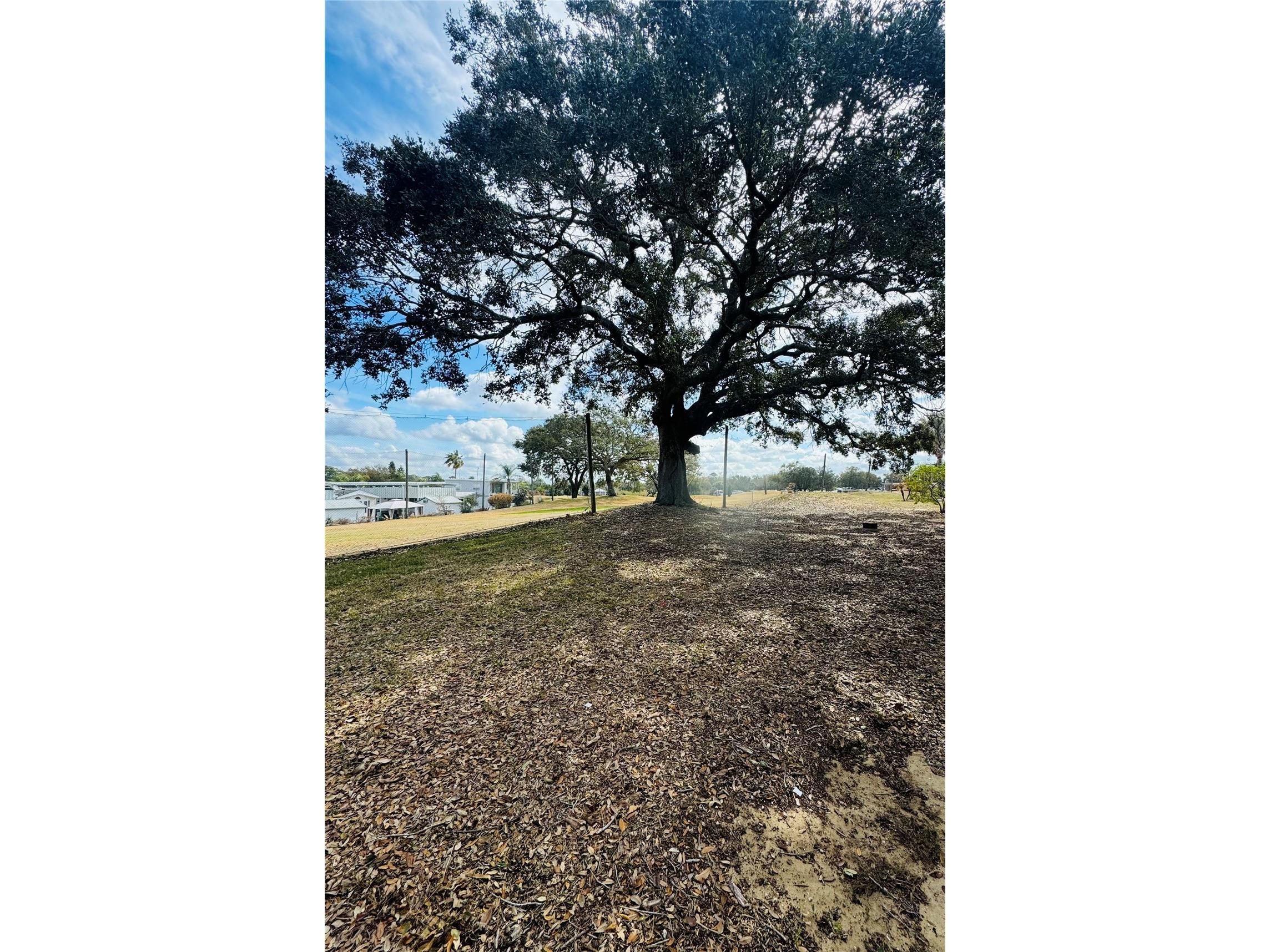 402 Golfview Drive Davenport FL 33837 O6382811 image12