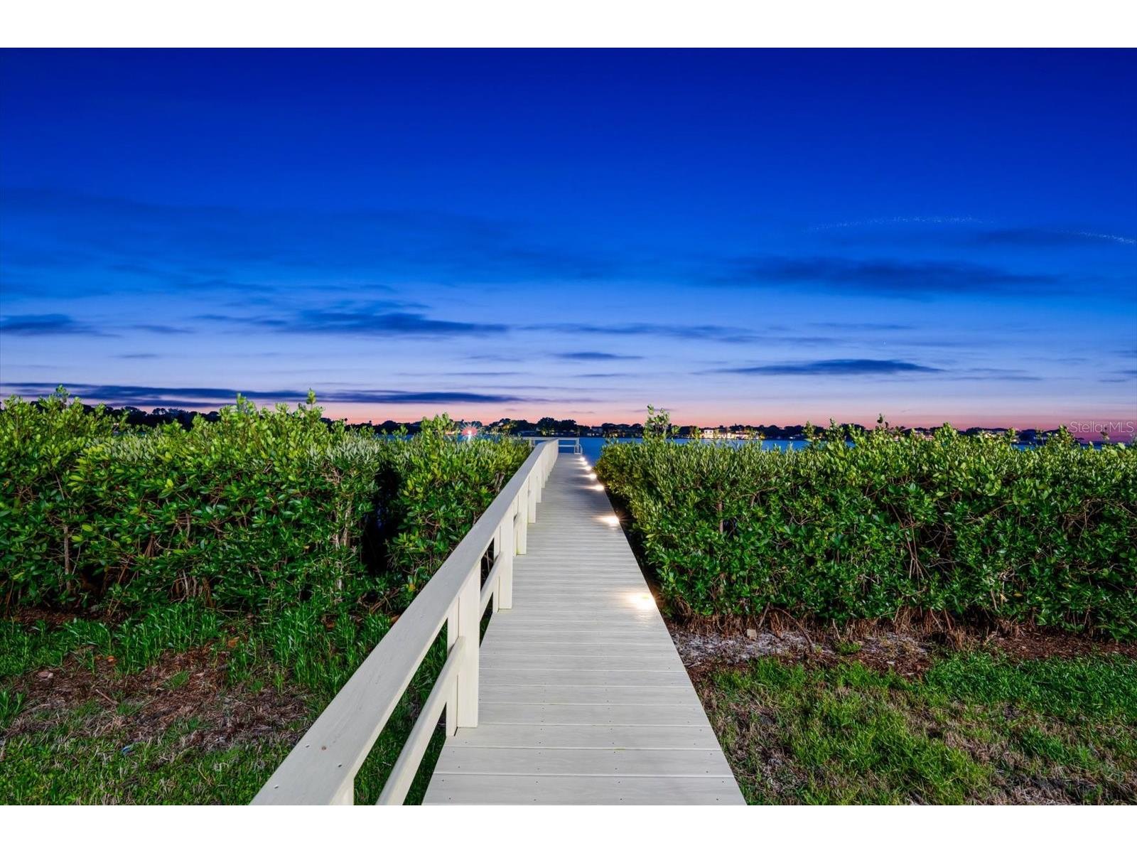 402 Hillsborough Street Palm Harbor FL 34683 - BOGGY BAYOU TB8491844 image74