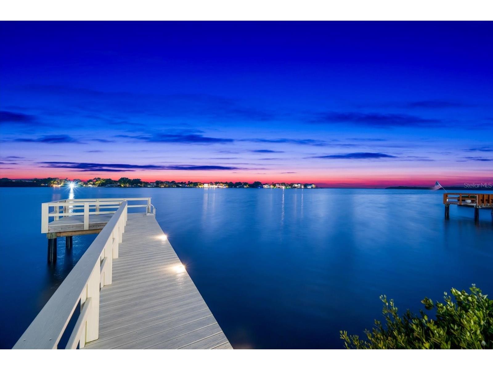 402 Hillsborough Street Palm Harbor FL 34683 - BOGGY BAYOU TB8491844 image75