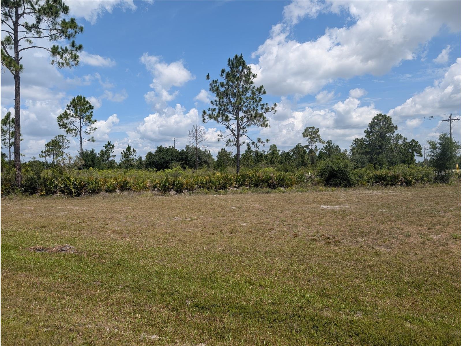402 Japonica Drive Indian Lake Estates FL 33855 - LAKE WALK-IN-WATER P4938836 image1