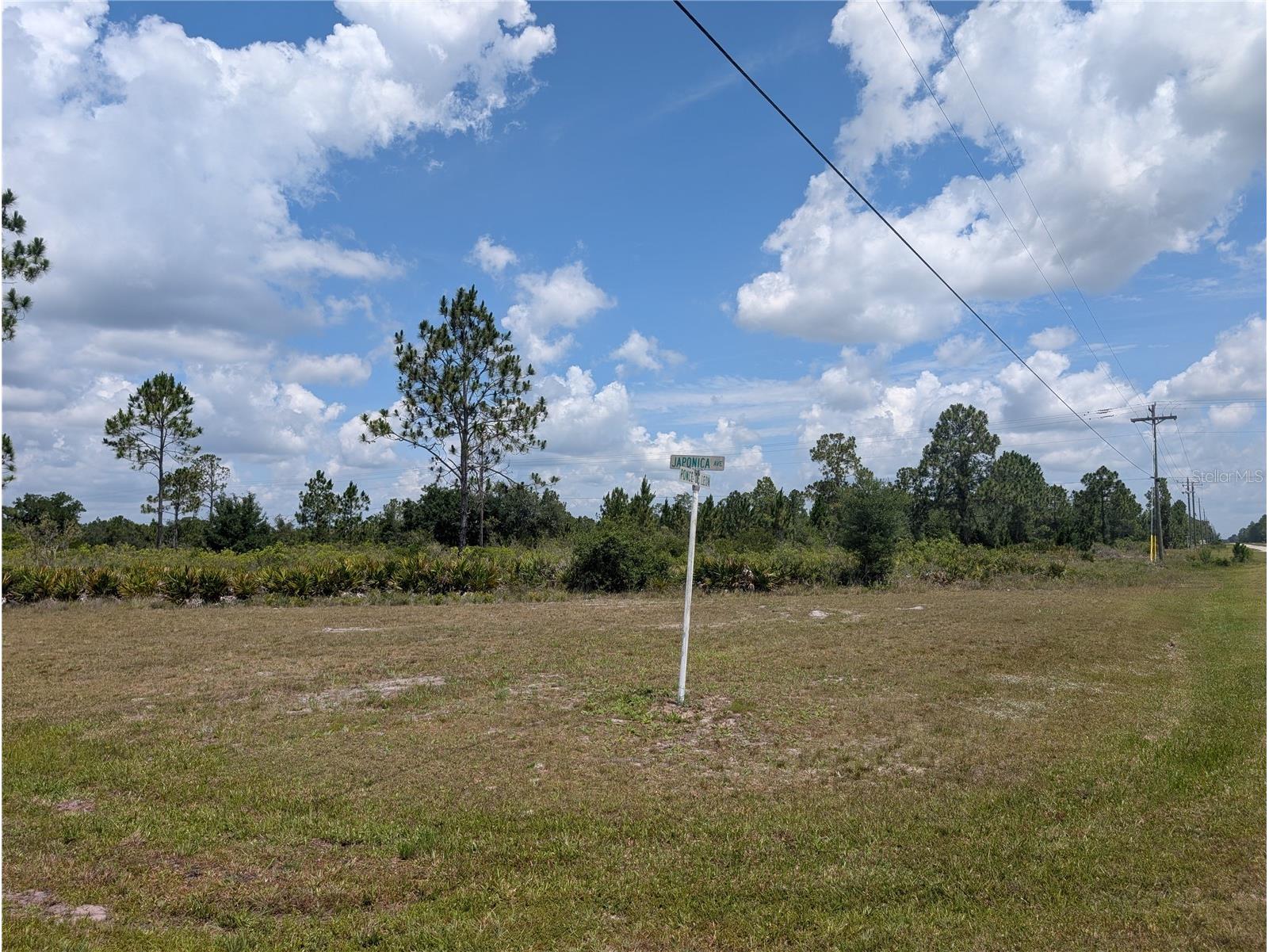 402 Japonica Drive Indian Lake Estates FL 33855 - LAKE WALK-IN-WATER P4938836 image3