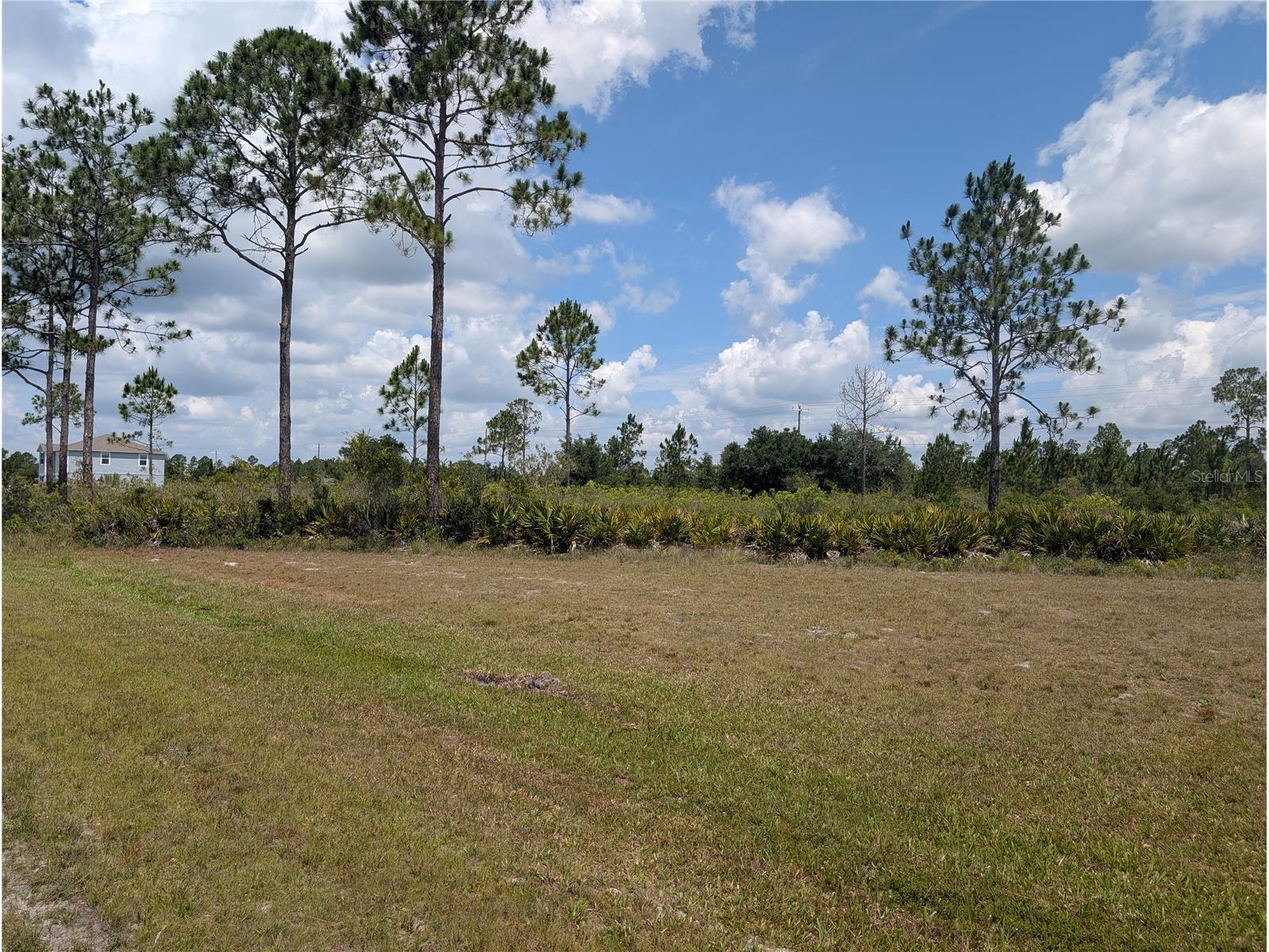 402 Japonica Drive Indian Lake Estates FL 33855 - LAKE WALK-IN-WATER P4938836 image4