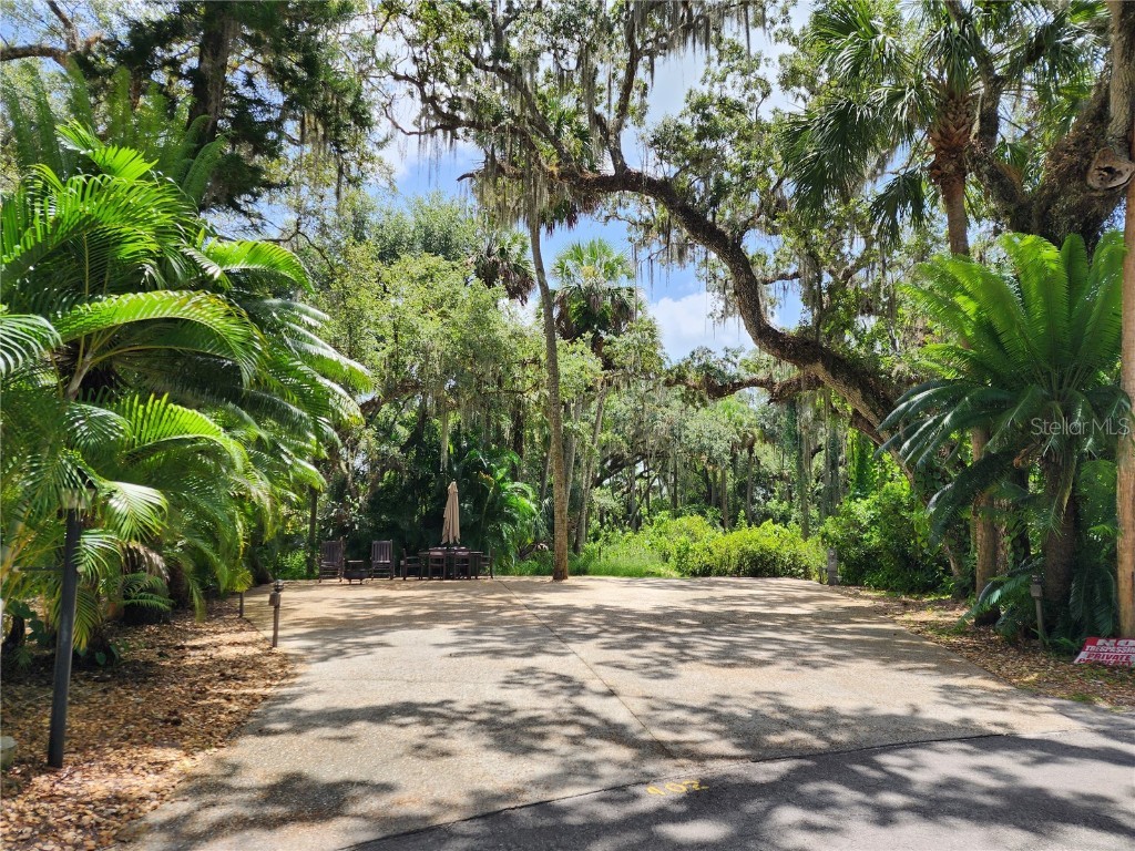 402 Longhorn Drive Lake Wales FL 33898 P4926683 image1