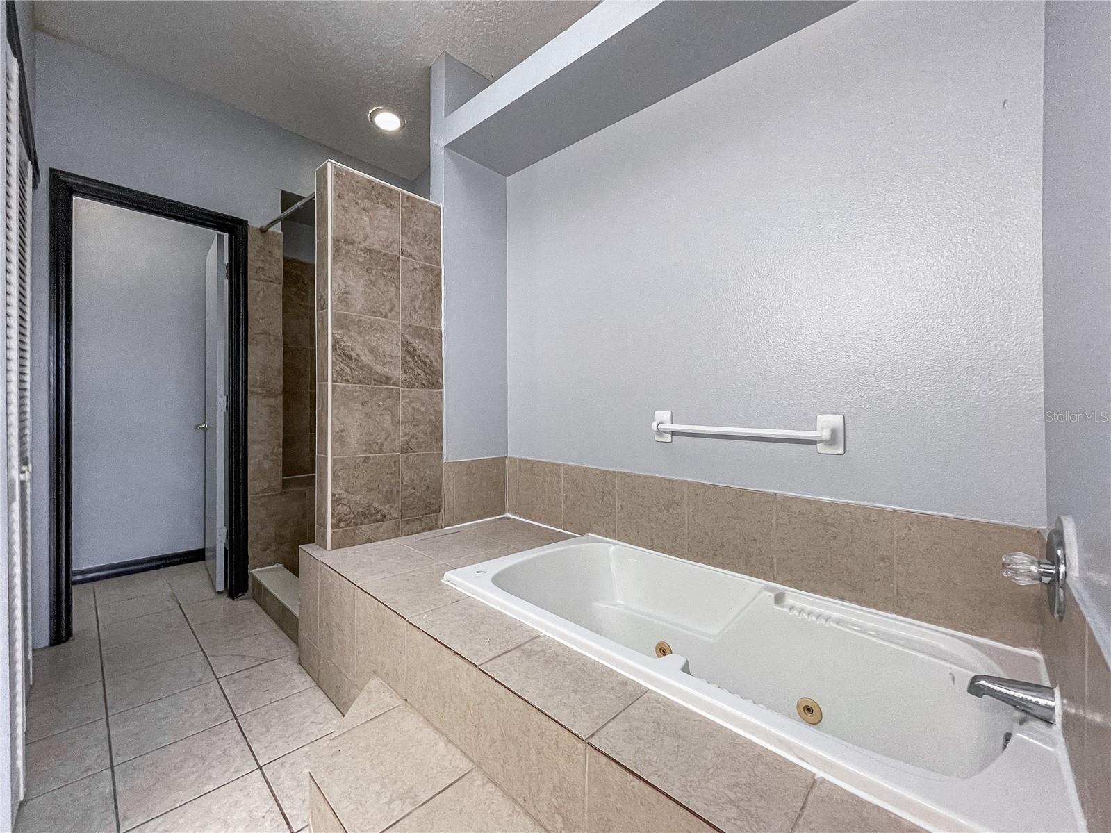 402 Orchid Drive #MAIN UNIT Davenport FL 33897 O6381369 image11