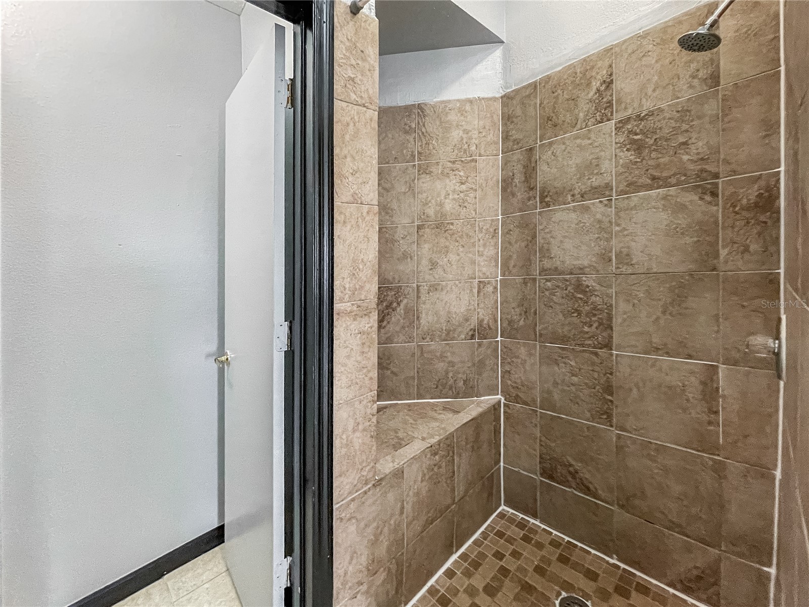 402 Orchid Drive #MAIN UNIT Davenport FL 33897 O6381369 image12