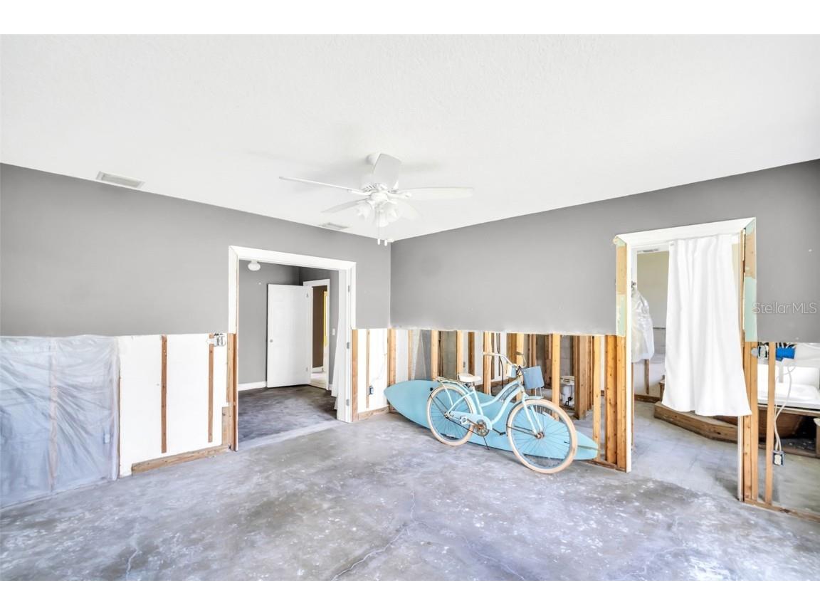 402 Orchid Palm Harbor FL 34683 TB8416859 image13