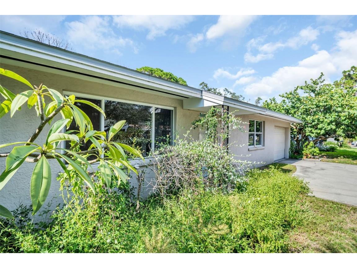 402 Orchid Palm Harbor FL 34683 TB8416859 image32