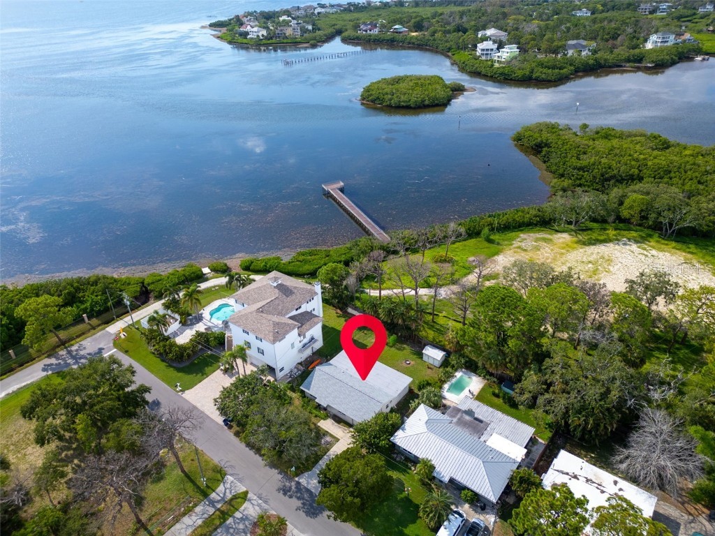 402 Orchid Palm Harbor FL 34683 TB8416859 image39