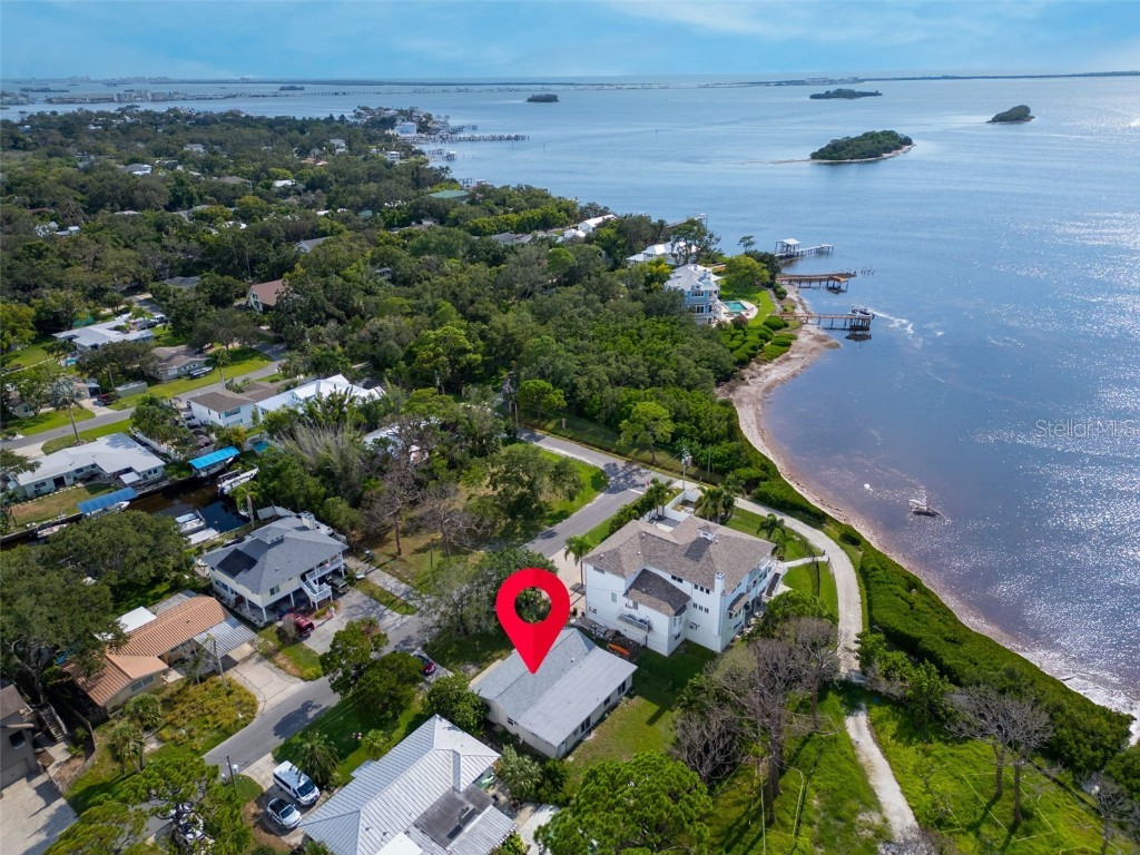 402 Orchid Palm Harbor FL 34683 TB8416859 image4