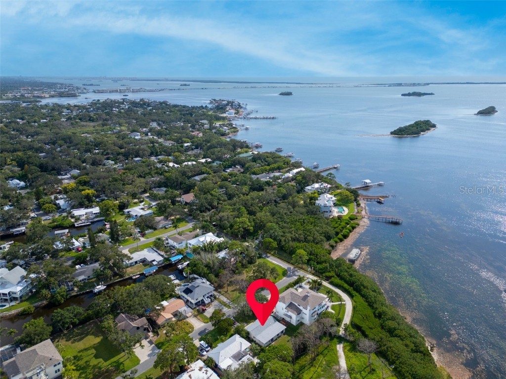 402 Orchid Palm Harbor FL 34683 TB8416859 image44