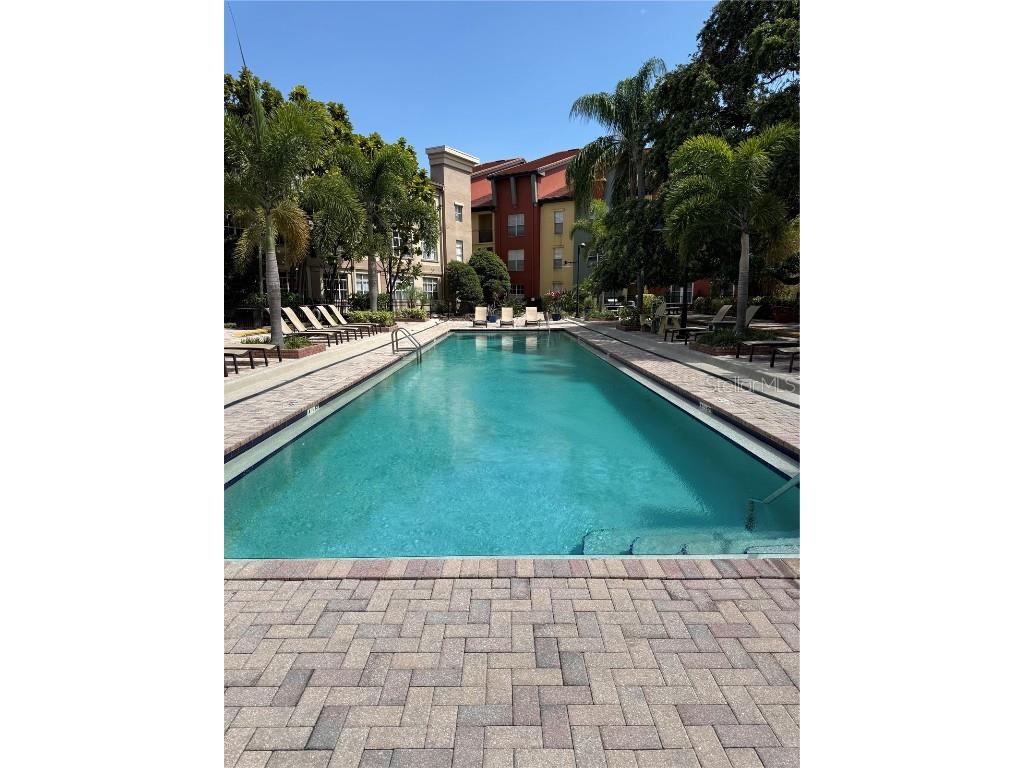 402 S Armenia Avenue #127 Tampa FL 33609 TB8447070 image12