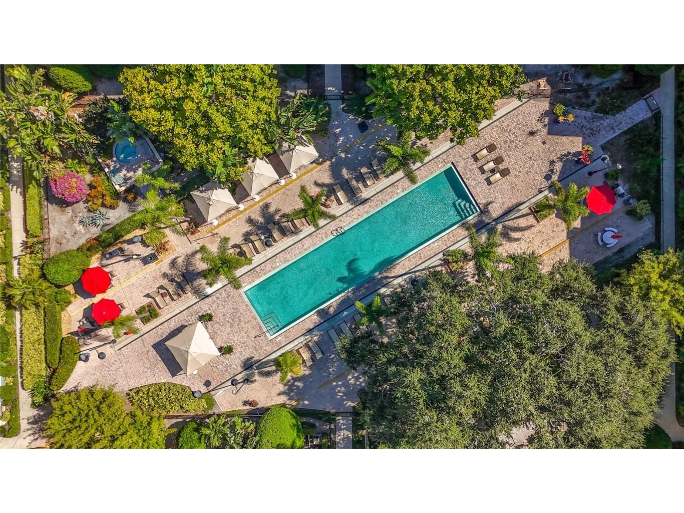 402 S Armenia Avenue #128 Tampa FL 33609 TB8444367 image30