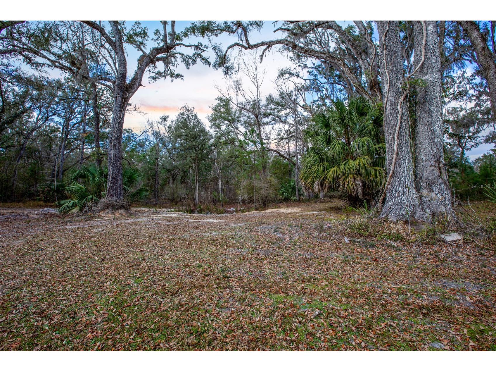 402 SE 709 Street Old Town FL 32680 GC536737 image33